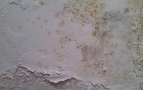 墻面發(fā)霉要怎么處理？